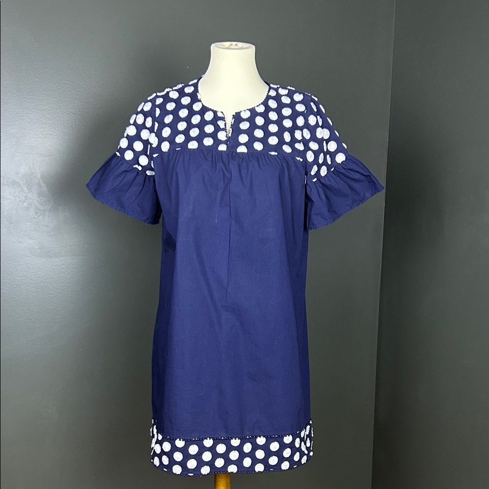J. Crew Blue Dress with White Polka Dots Embroidery